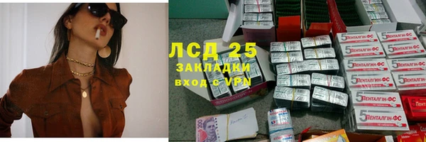 шишки Верхний Тагил