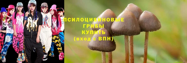 шишки Верхний Тагил