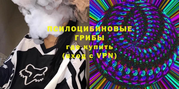 дурь Верея