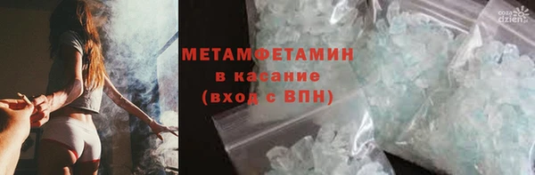 шишки Верхний Тагил