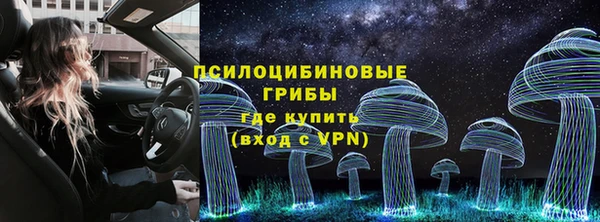 дурь Верея