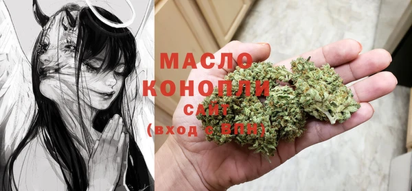 шишки Верхний Тагил