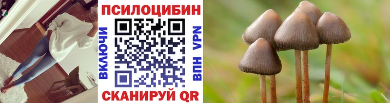 Псилоцибиновые грибы GOLDEN TEACHER  Ставрополь 